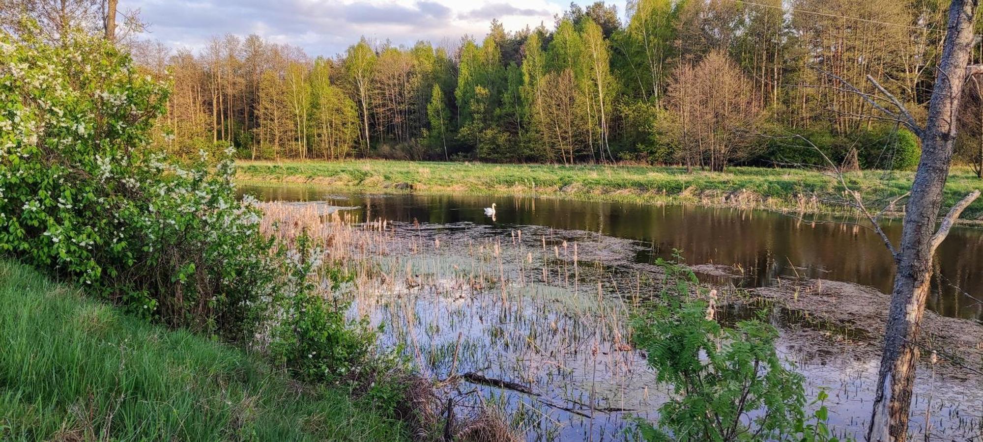 Panorama Podlasie Home&Spa Czyze Exteriör bild
